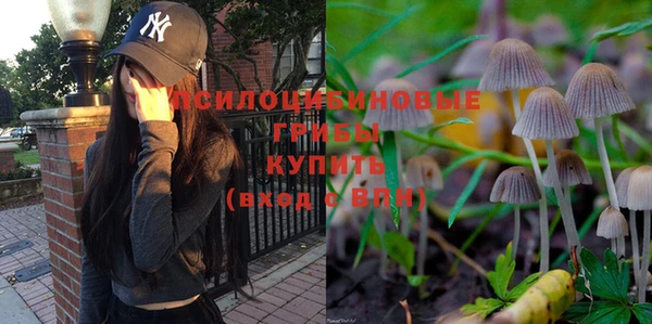 MDMA Белокуриха